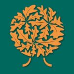 WhatsApp Image 2025-08-01 at 22.53.25